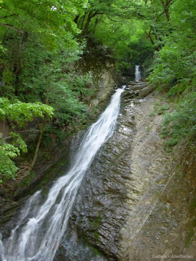 Woodland Paradise Gabala Exterior foto