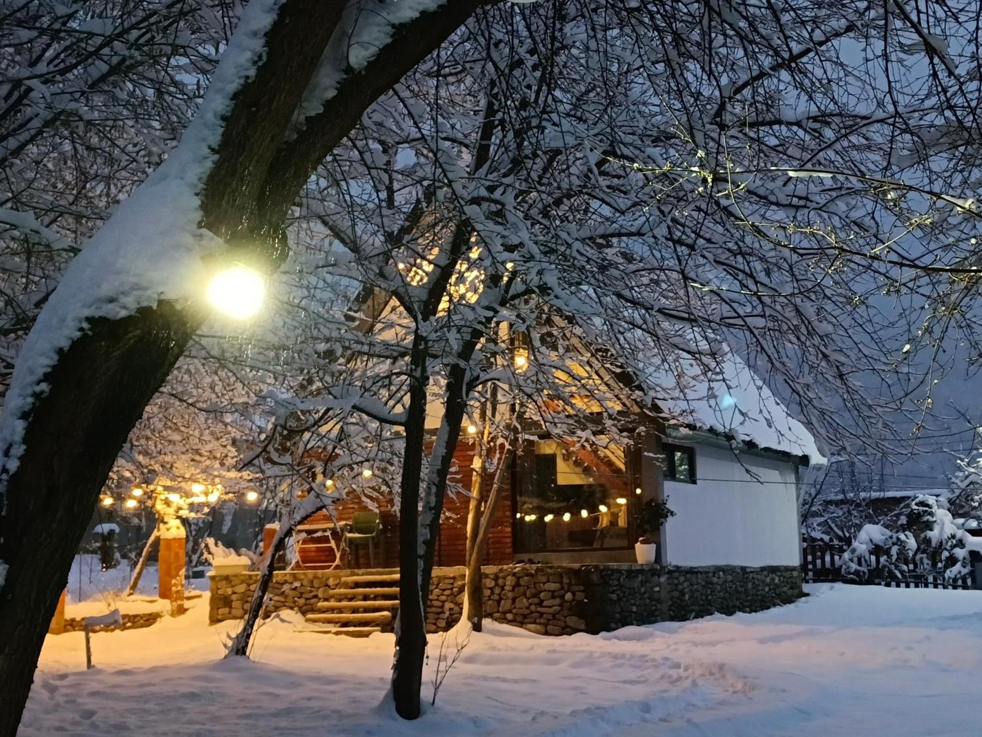 Woodland Paradise Gabala Exterior foto